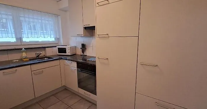 Executive 2 Bd Flat In Center - Hoesch 1 Appartement Zurich